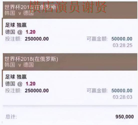 世界杯高清直播期间热门世界杯投注平台全面分析与直播入口分析 世界杯高清直播期间热门世界杯投注平台全面分析与直播入口分析